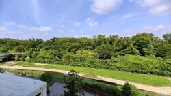 Blk 495A Tampines Street 43 (Tampines), HDB Executive #581979901